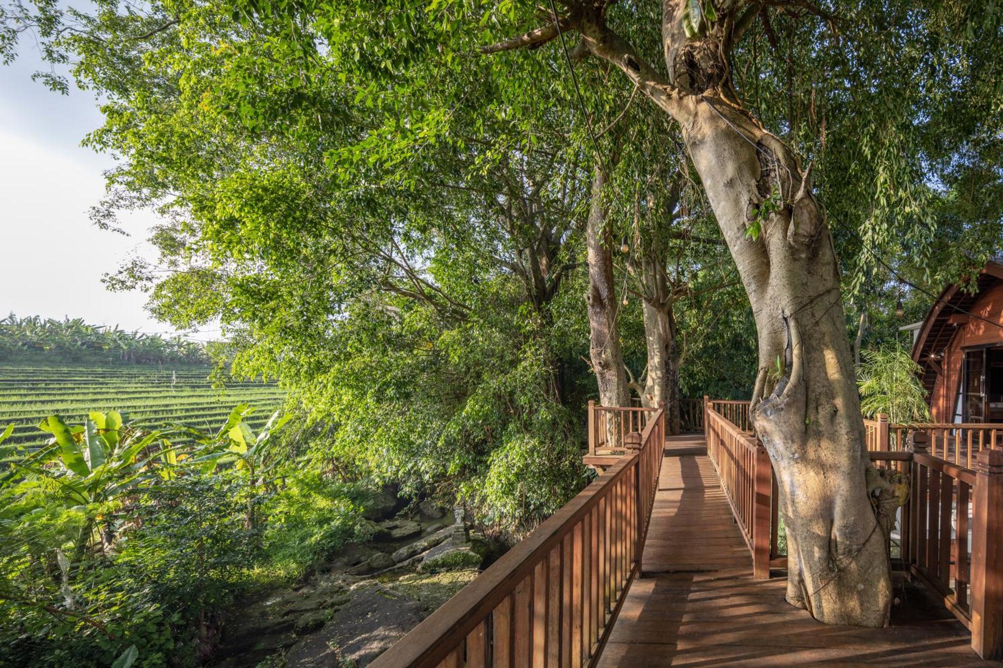 Paripadi Private Villa And Sanctuary ชังกู ภายนอก รูปภาพ